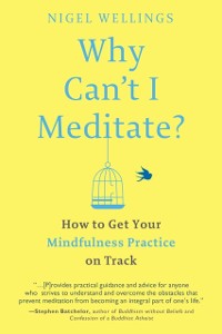 Cover Why Can't I Meditate?