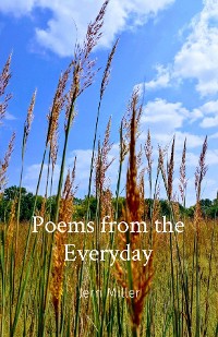 Cover Poems from the Everyday