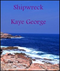 Cover Shipwreck