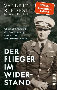 Cover Der Flieger im Widerstand