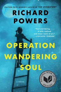 Cover Operation Wandering Soul