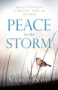 Cover Peace in the Storm