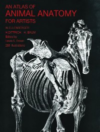 Cover An Atlas of Animal Anatomy for Artists