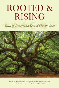 Cover Rooted and Rising