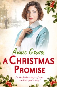 Cover Christmas Promise