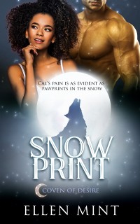 Cover Snow Print