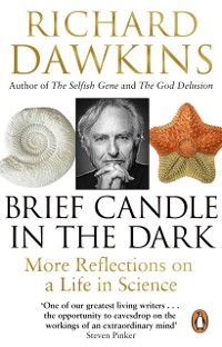 Cover Brief Candle in the Dark