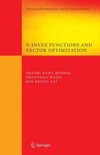 Cover V-Invex Functions and Vector Optimization