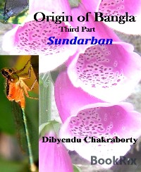 Cover Origin of Bangla Third Part Sundarban