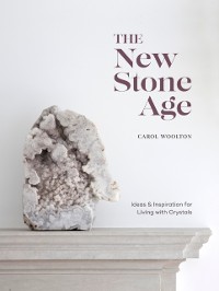 Cover New Stone Age