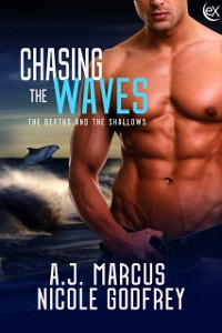 Cover Chasing the Waves