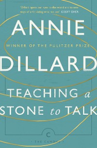 Cover Teaching a Stone to Talk