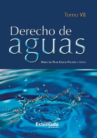 Cover Derecho de Aguas Tomo VII