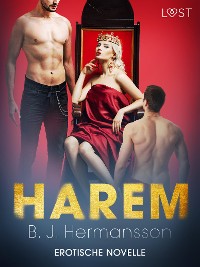 Cover Harem - Erotische Novelle