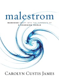 Cover Malestrom
