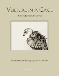 Cover Vulture in a Cage