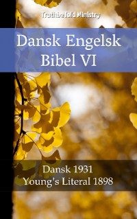 Cover Dansk Engelsk Bibel VI