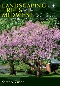 Cover Landscaping with Trees in the Midwest