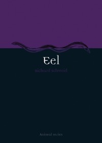 Cover Eel