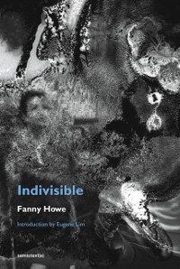Cover Indivisible, new edition
