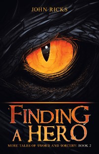 Cover Finding a Hero