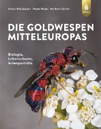 Cover Die Goldwespen Mitteleuropas