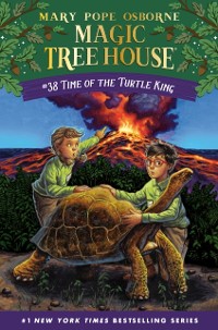 Cover Time of the Turtle King