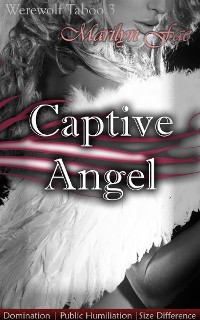 Cover Captive Angel