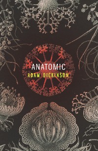 Cover Anatomic