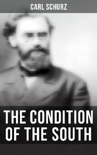 Cover The Condition of the South