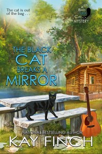 Cover Black Cat Breaks a Mirror