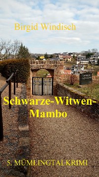 Cover Schwarze-Witwen-Mambo