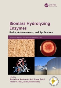 Cover Biomass Hydrolyzing Enzymes : Basics, Advancements, and Applications