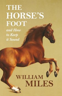 Cover The Horse's Foot and How to Keep it Sound