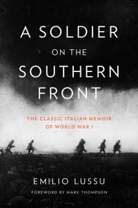 Cover Soldier on the Southern Front