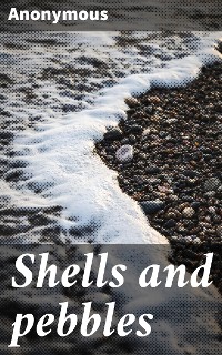 Cover Shells and pebbles
