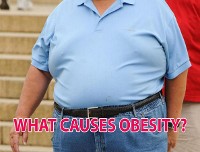 Cover WHAT CAUSES OBESITY?