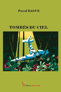 Cover Tombés du ciel