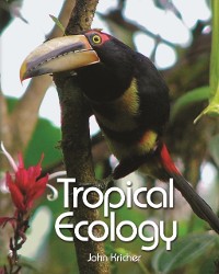 Cover Tropical Ecology