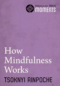 Cover How Mindfulness Works