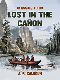 Cover Lost in the Canon