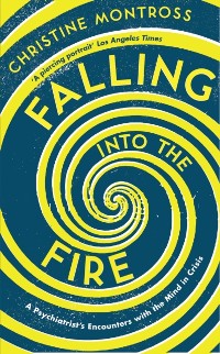 Cover Falling into the Fire