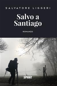 Cover Salvo a Santiago