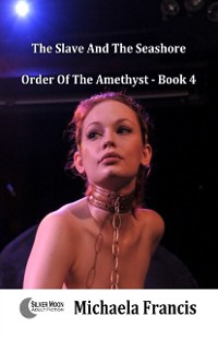 Cover Slave And The Seashore (Order Of The Amethyst Book 4)