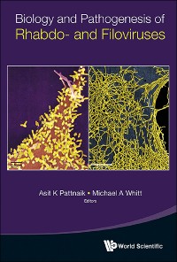 Cover BIOLOGY AND PATHOGENESIS OF RHABDO- AND FILOVIRUSES