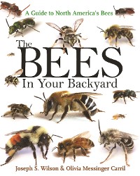 Cover The Bees in Your Backyard
