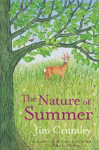 Cover The Nature of Summer