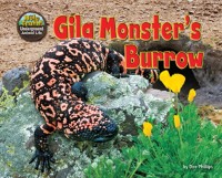 Cover Gila Monster's Burrow