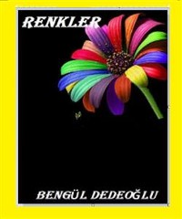 Cover Renkler