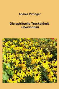 Cover Die spirituelle Trockenheit überwinden